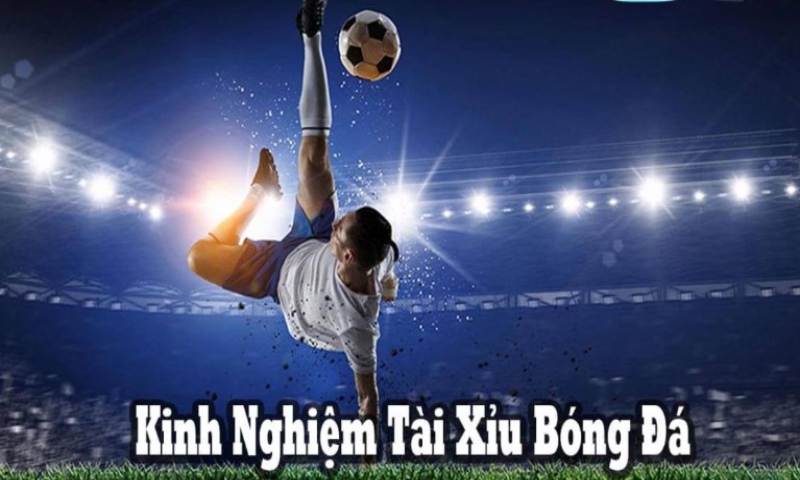 Kinh nghiệm tài xỉu bóng đá - Cách đọc kèo bóng đá tài xỉu Kinh nghiệm tài xỉu bóng đá