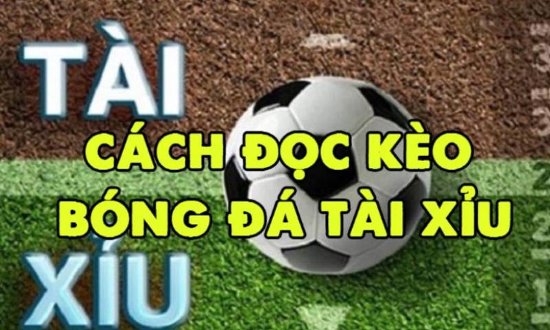 Kèo chấp 1/4 - Cách đọc kèo bóng đá tài xỉu Kèo chấp 1/4
