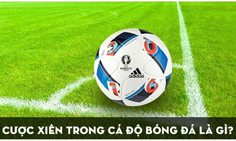 Cược xiên bóng đá là gì? Cược xiên bóng đá là gì?