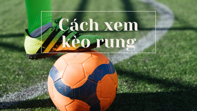 Cách xem kèo rung người chơi cần nắm bắt Cách xem kèo rung người chơi cần nắm bắt