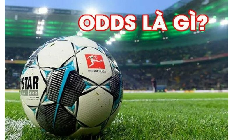 Tỷ lệ Odds là gì khi được rất nhiều người quan tâm Tỷ lệ Odds là gì khi được rất nhiều người quan tâm