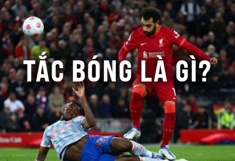 Tắc bóng là gì? Tắc bóng là gì?