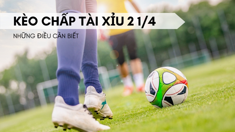 Hiểu rõ hơn về tài xỉu là gì? Hiểu rõ hơn về tài xỉu là gì?