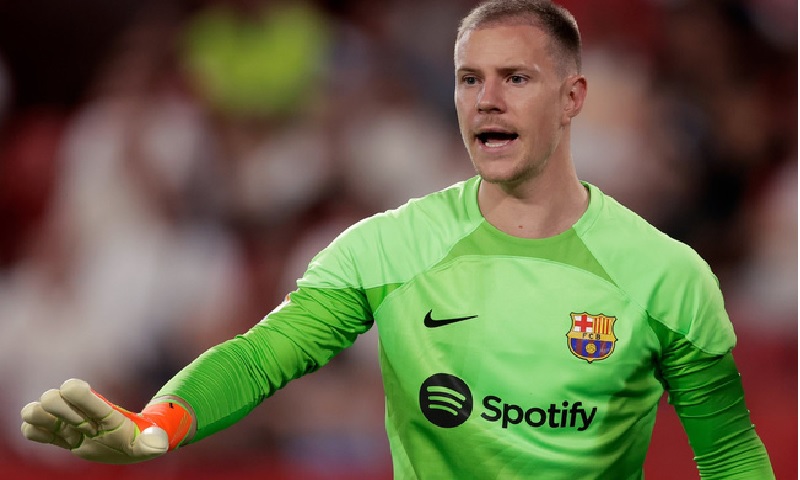 Thủ môn Sepp Maier Thủ môn Sepp Maier