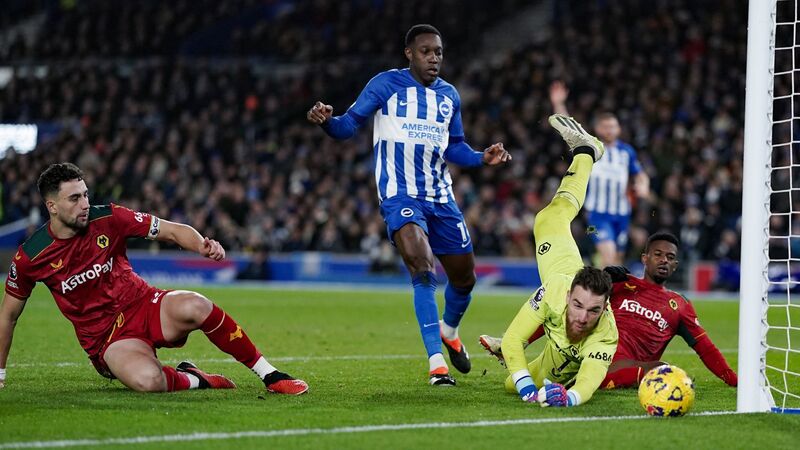Nhận định soi kèo châu Á - Wolves vs Brighton Nhận định soi kèo châu Á - Wolves vs Brighton
